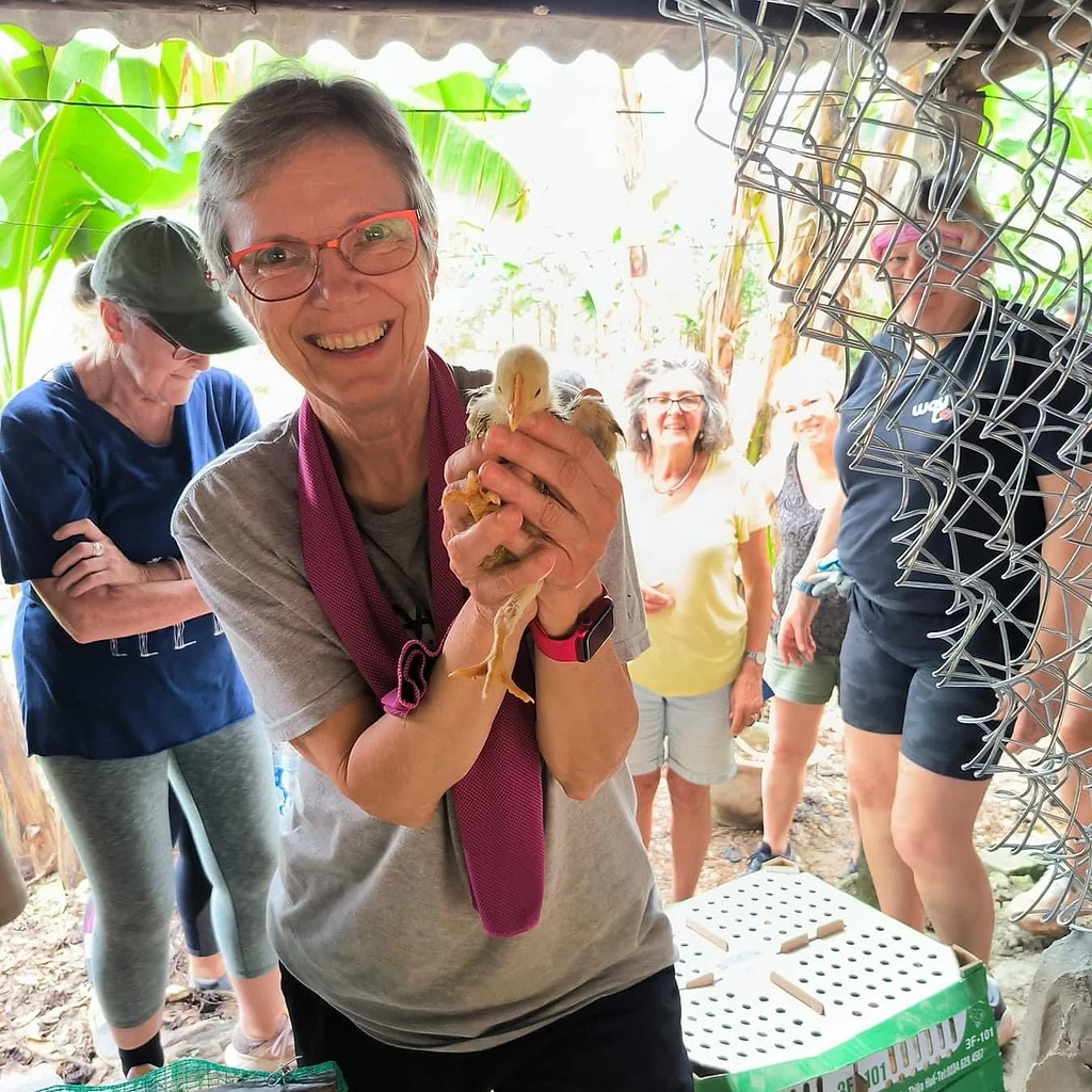 Chicken Coop