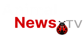 AnimalNewsTV