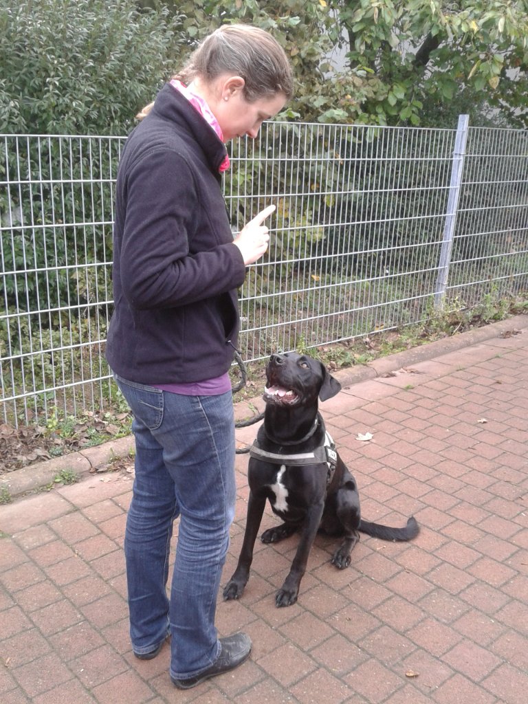 Training in Aktion