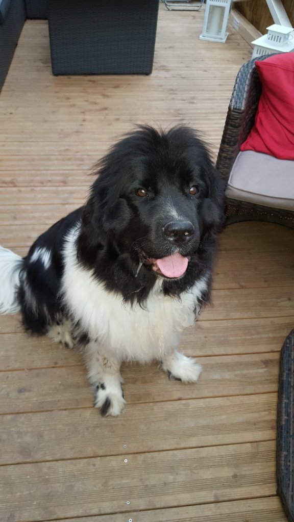 Charley