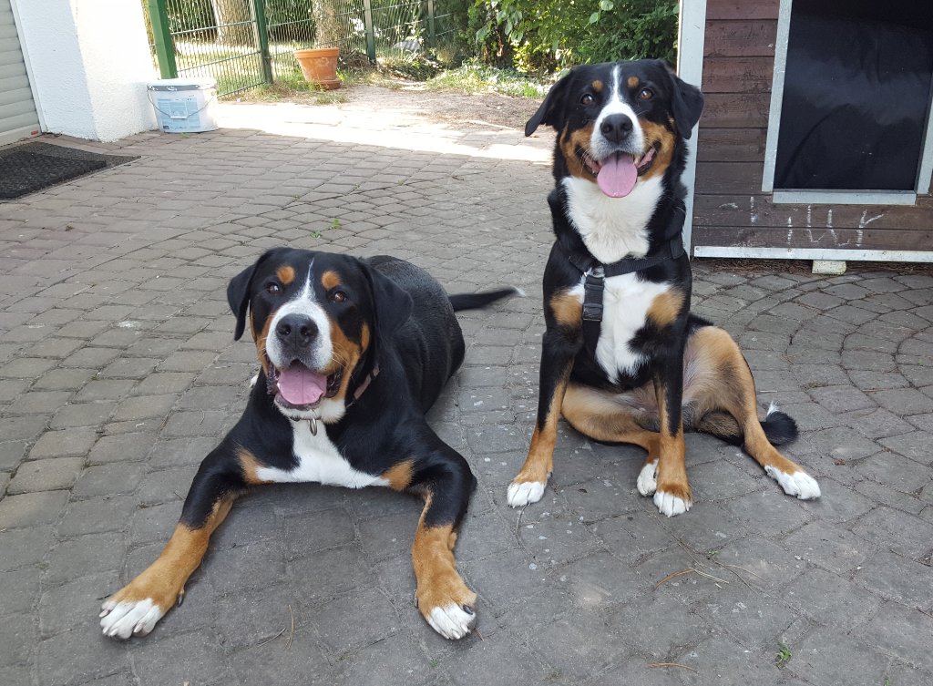 Luna & Chilly