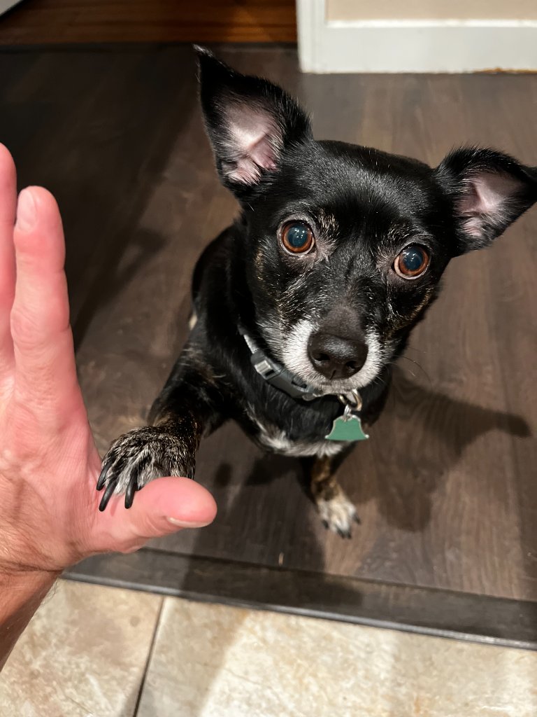 Hawkins 'Hawk' Kilo giving a high-five