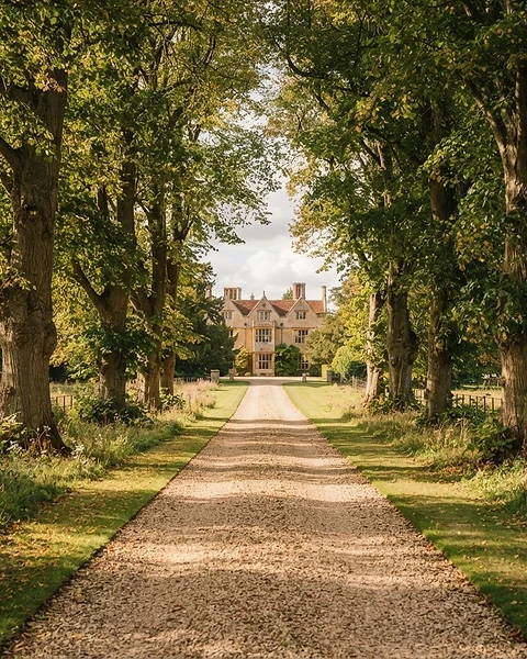 An avenue of mature lime trees along a gravel path leading towards a country house