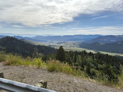 Forested mountain valley from a highway overlook