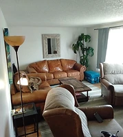 Living room seating area