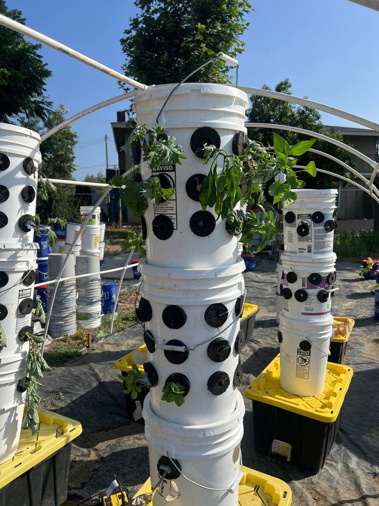 Hydroponic Towers