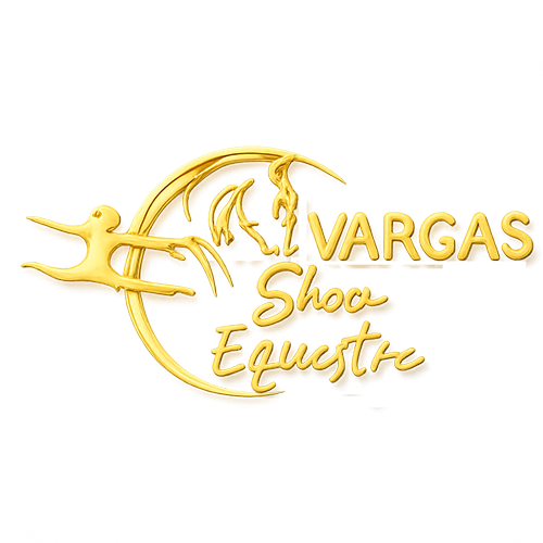 Vargas Show Équestre