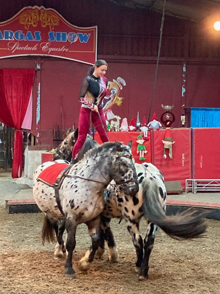 La complicité avec le cheval