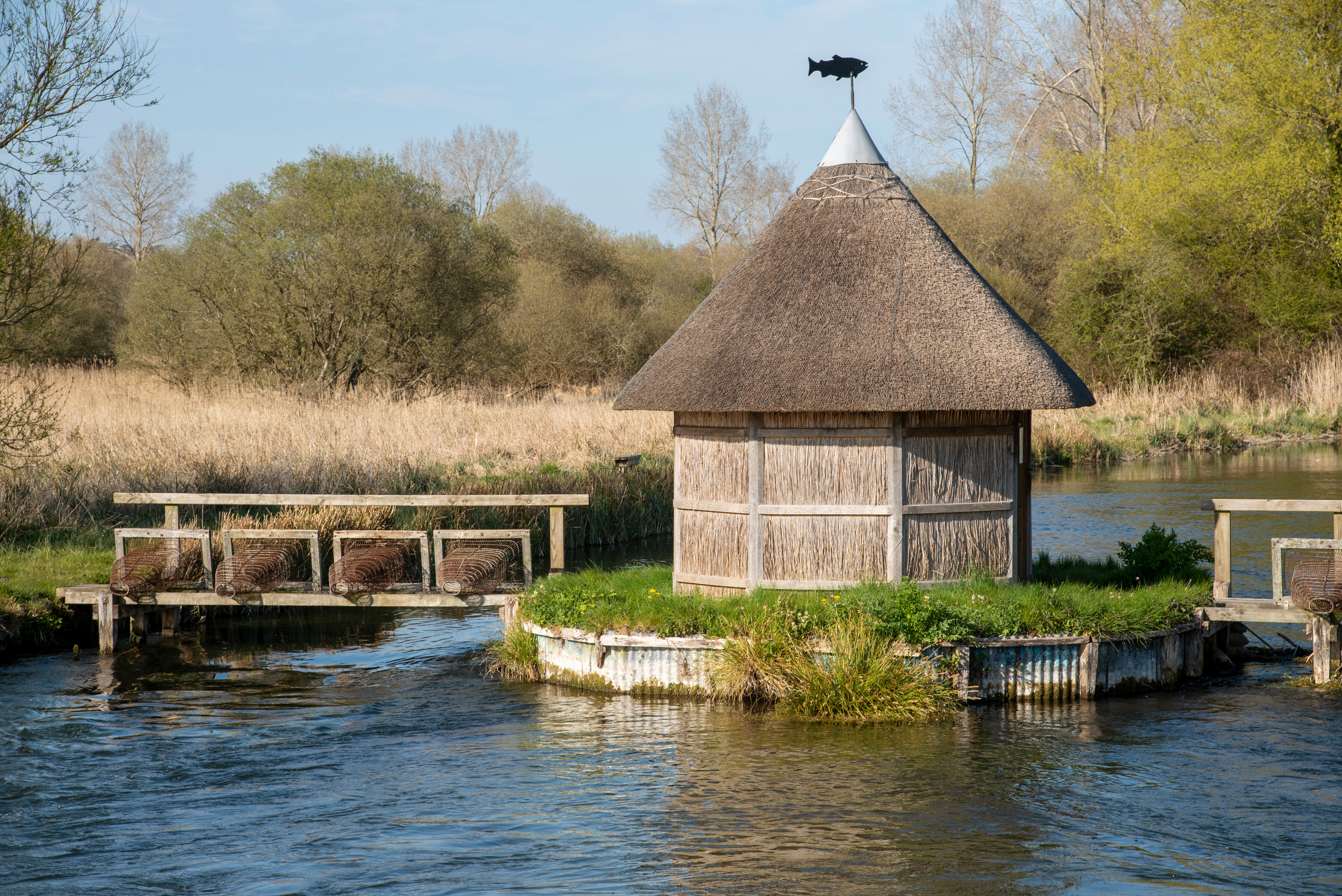 Thatched duck house on a river island in the British countryside