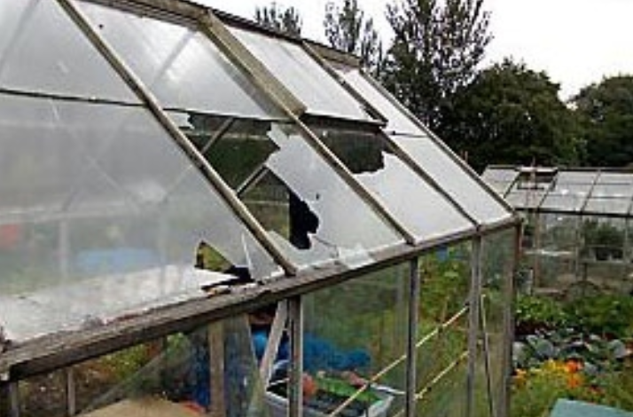 Greenhouse glazing