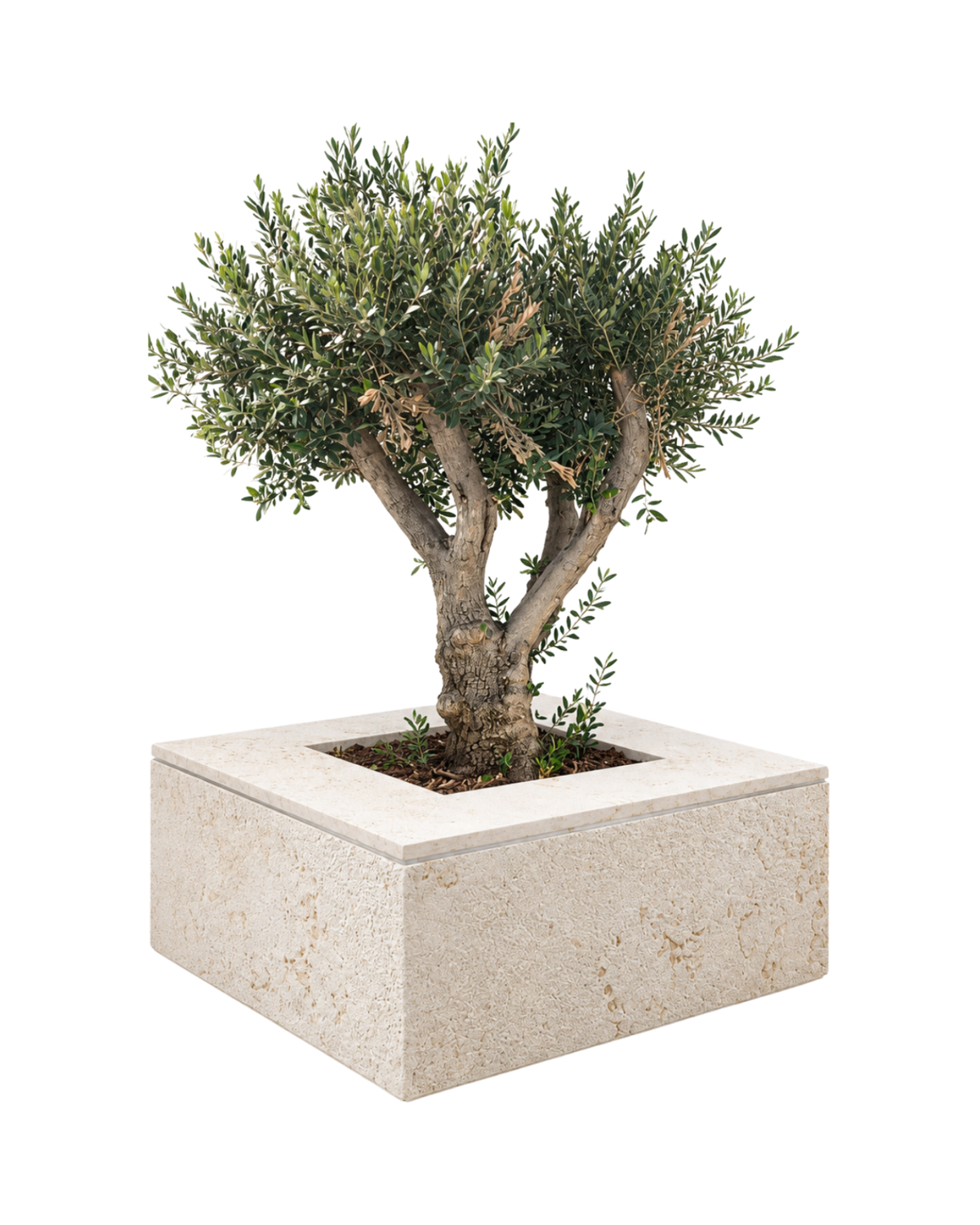 Textured Coral Limestone Square Planter — View 2
