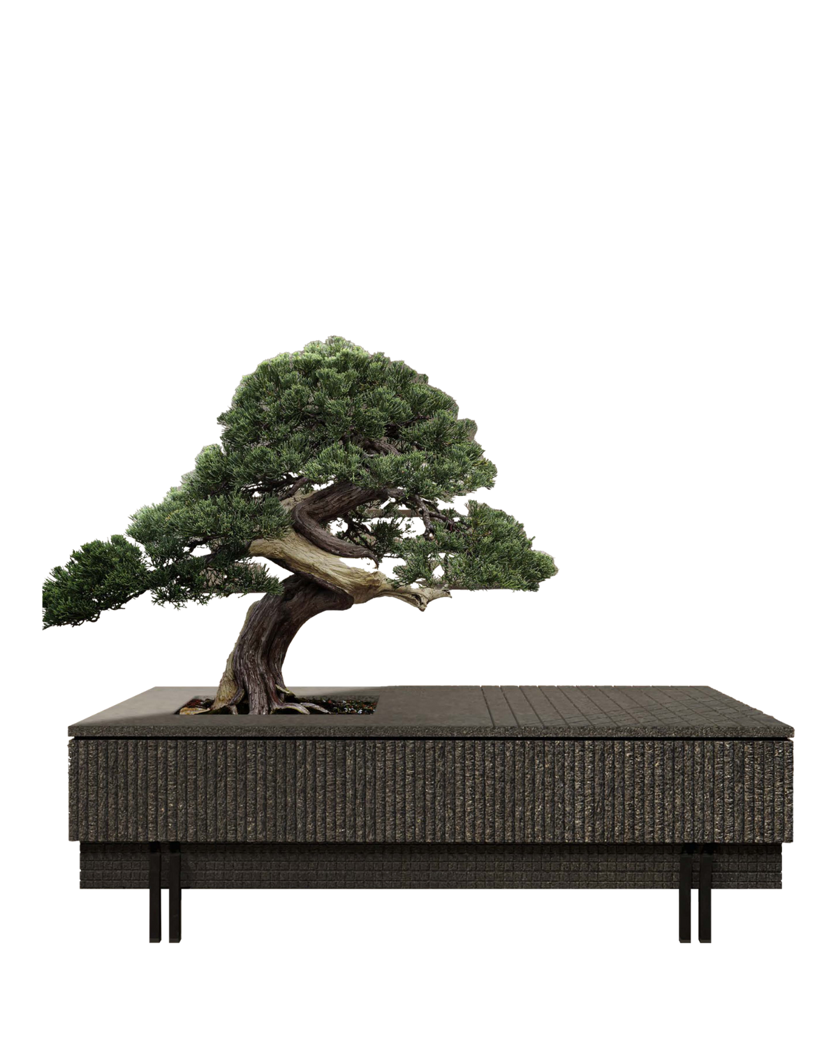Fluted Basalt Bonsai Planter Table — View 2