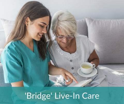 'Bridge' Live-In Care