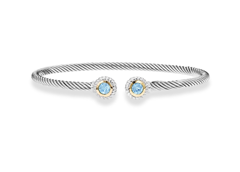 Silver Bangle (SILBG2467) 1