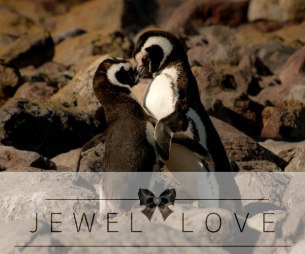 Jewellove — black and white couple