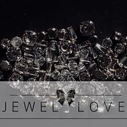Jewellove — hand wearing ring