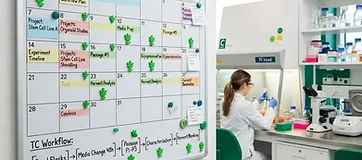 Scheduling Calendar