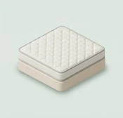 Mattress Removal