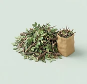 Yard Waste Removal
