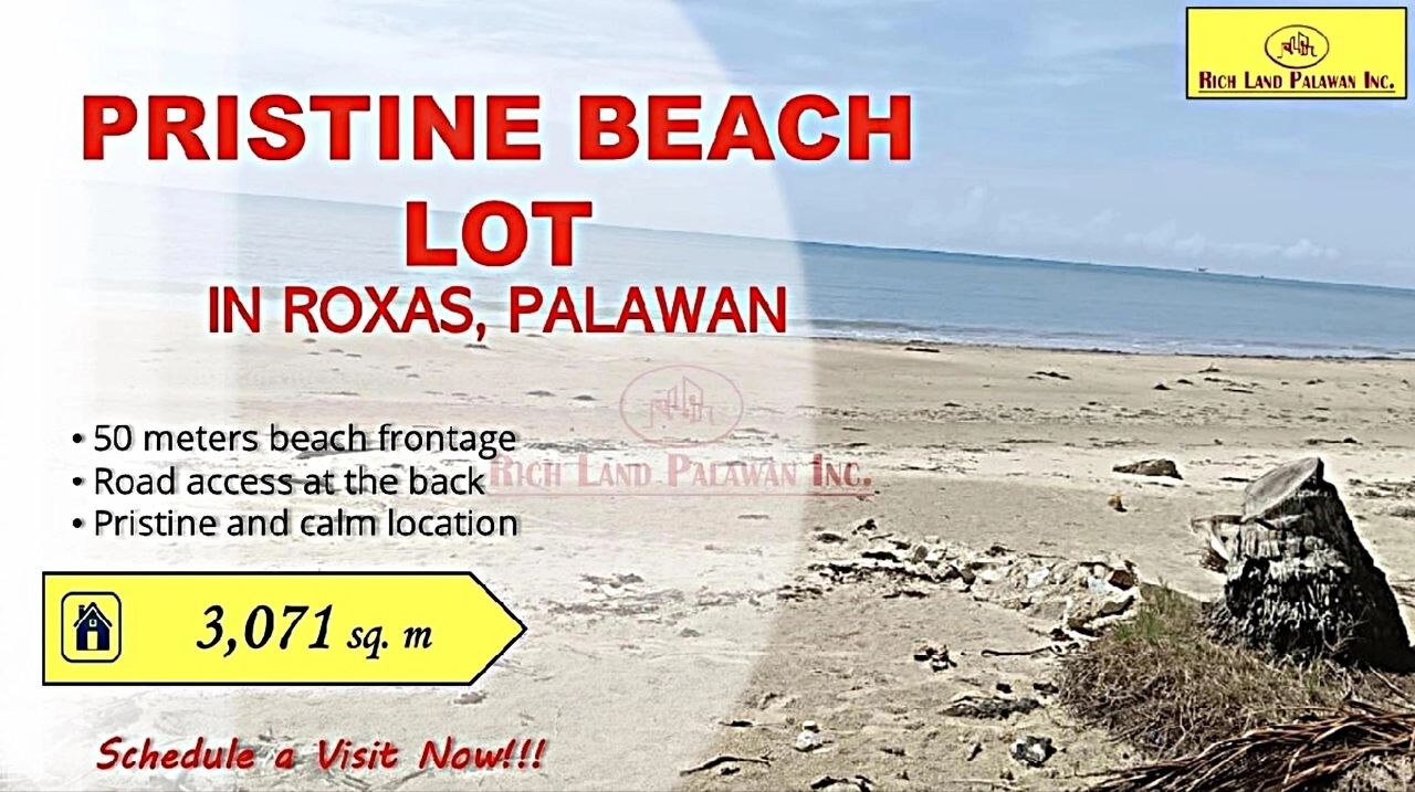 Pristine Beach Lot Property in Roxas, Palawan with 50 Meters Beach