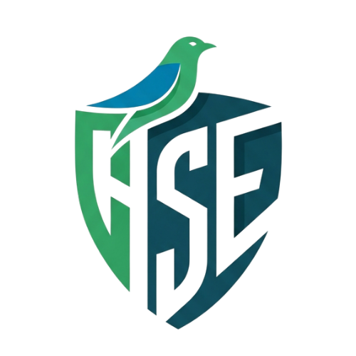HSE Guardian Inspection