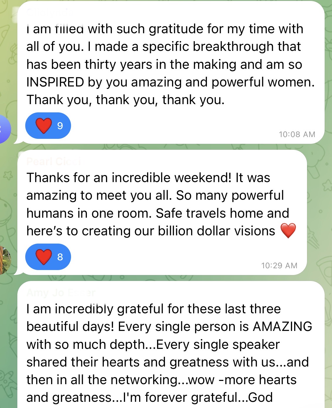 A testimonial message shared by a mini-retreat attendee