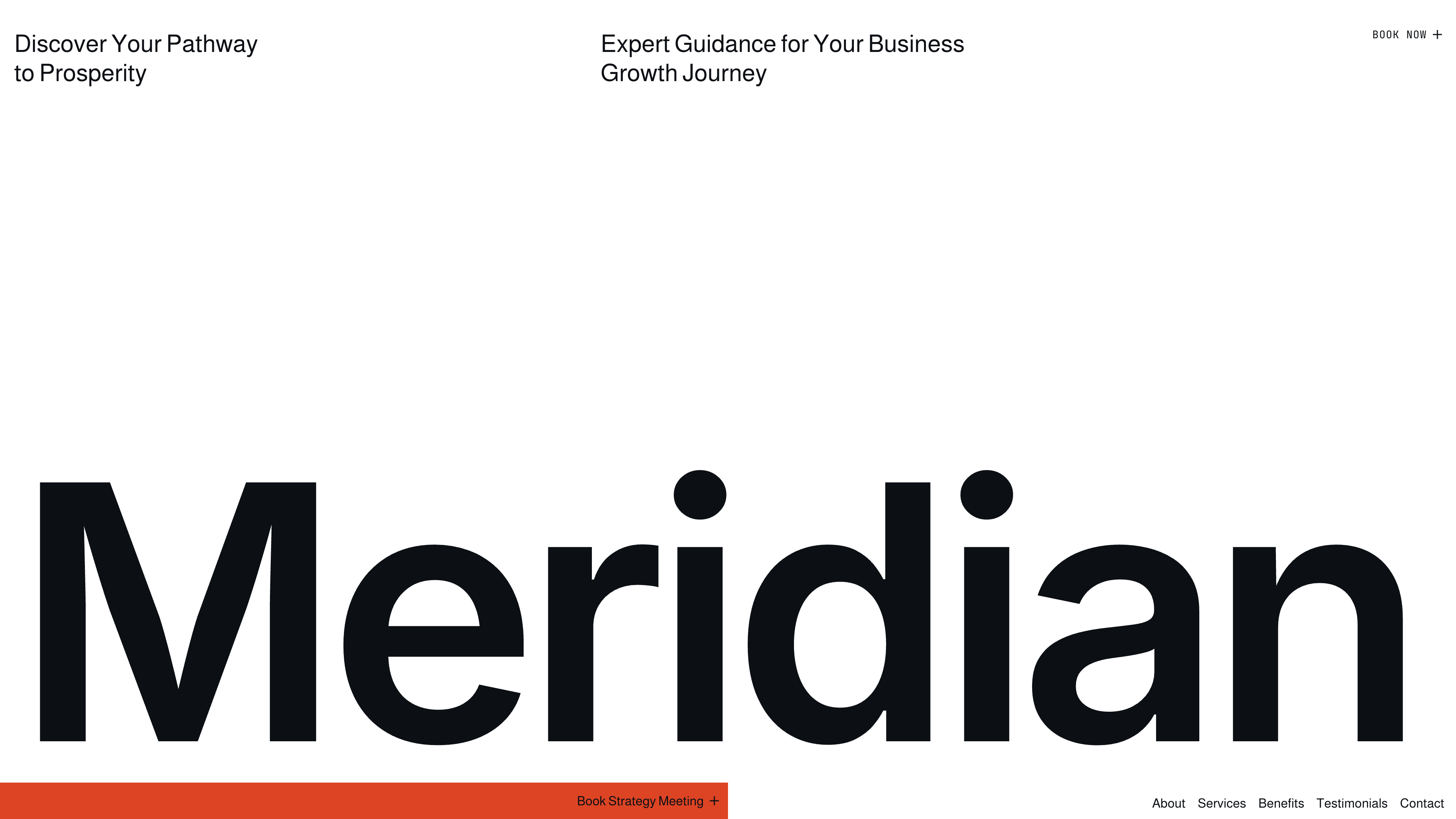 Business Consultant template preview
