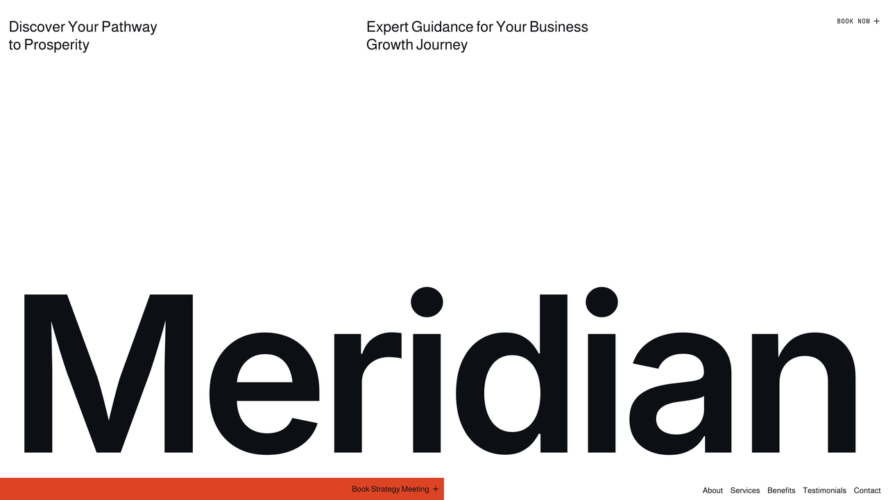 Business Consultant template preview