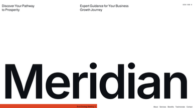 Business Consultant template preview