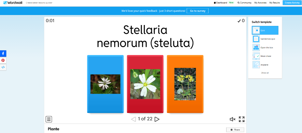Plante: Stellaria nemorum (steluța)