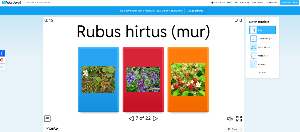 Plante: Rubus hirtus (murul)