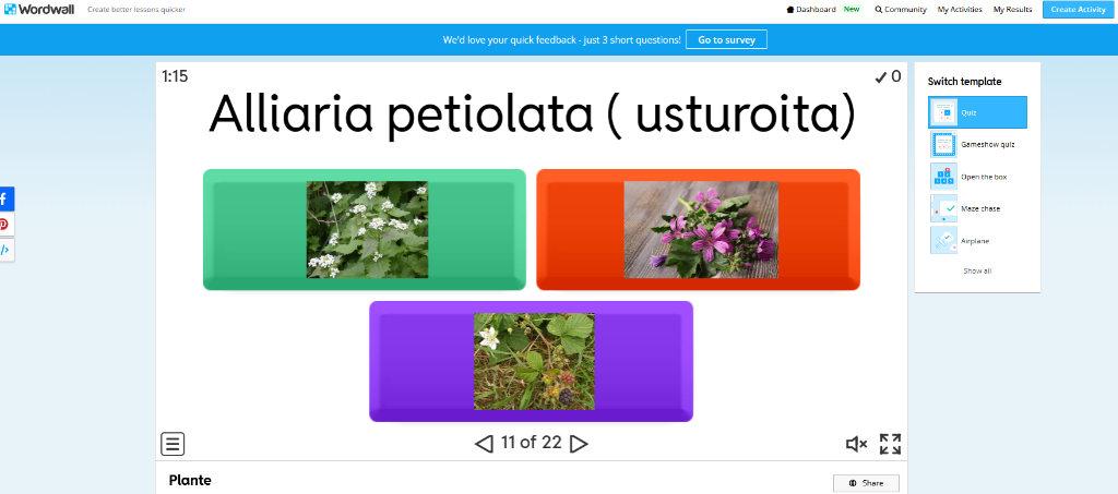 Plante: Alliaria petiolata (usturoița)