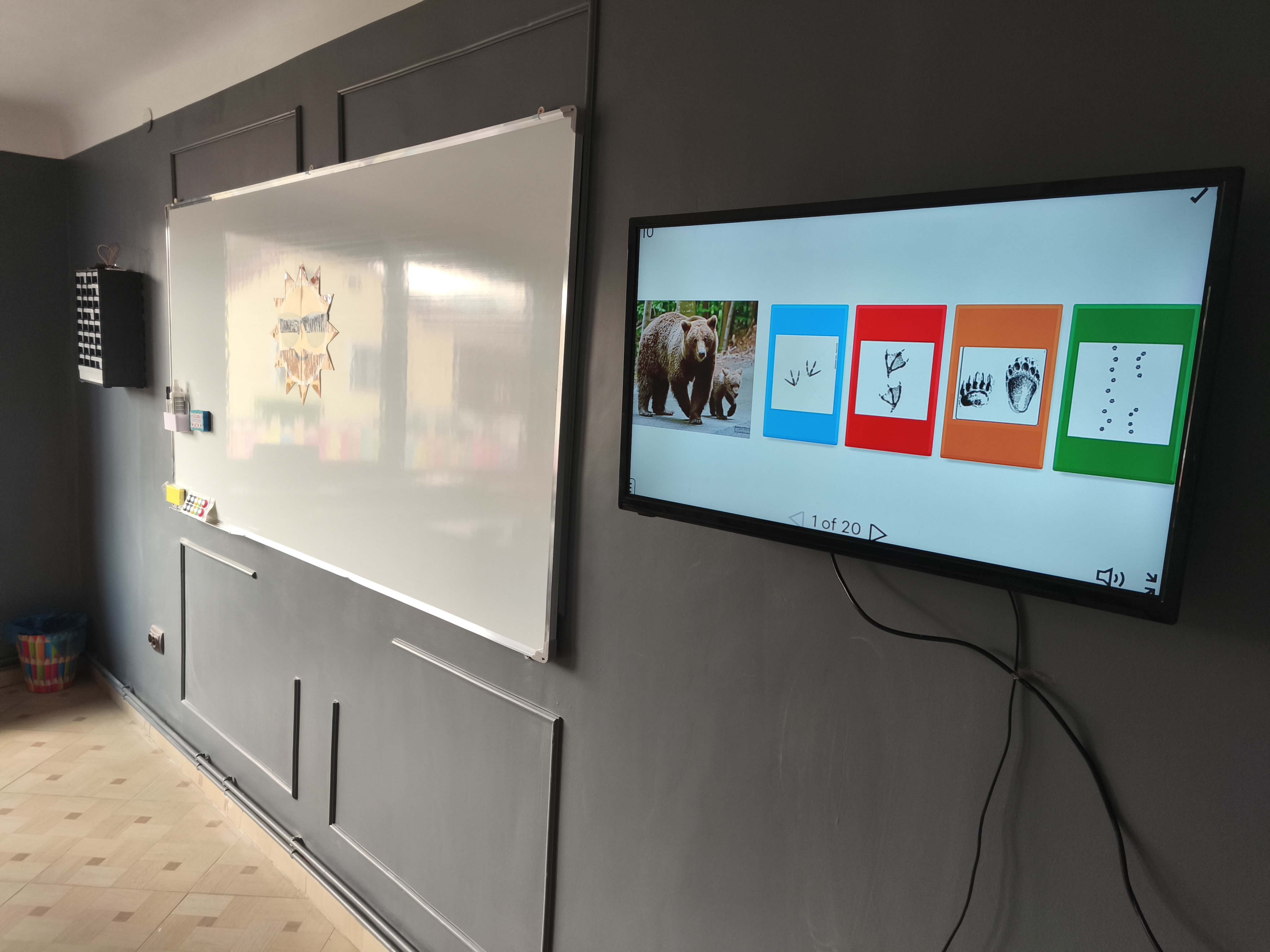 Joc interactiv — urmele ursului