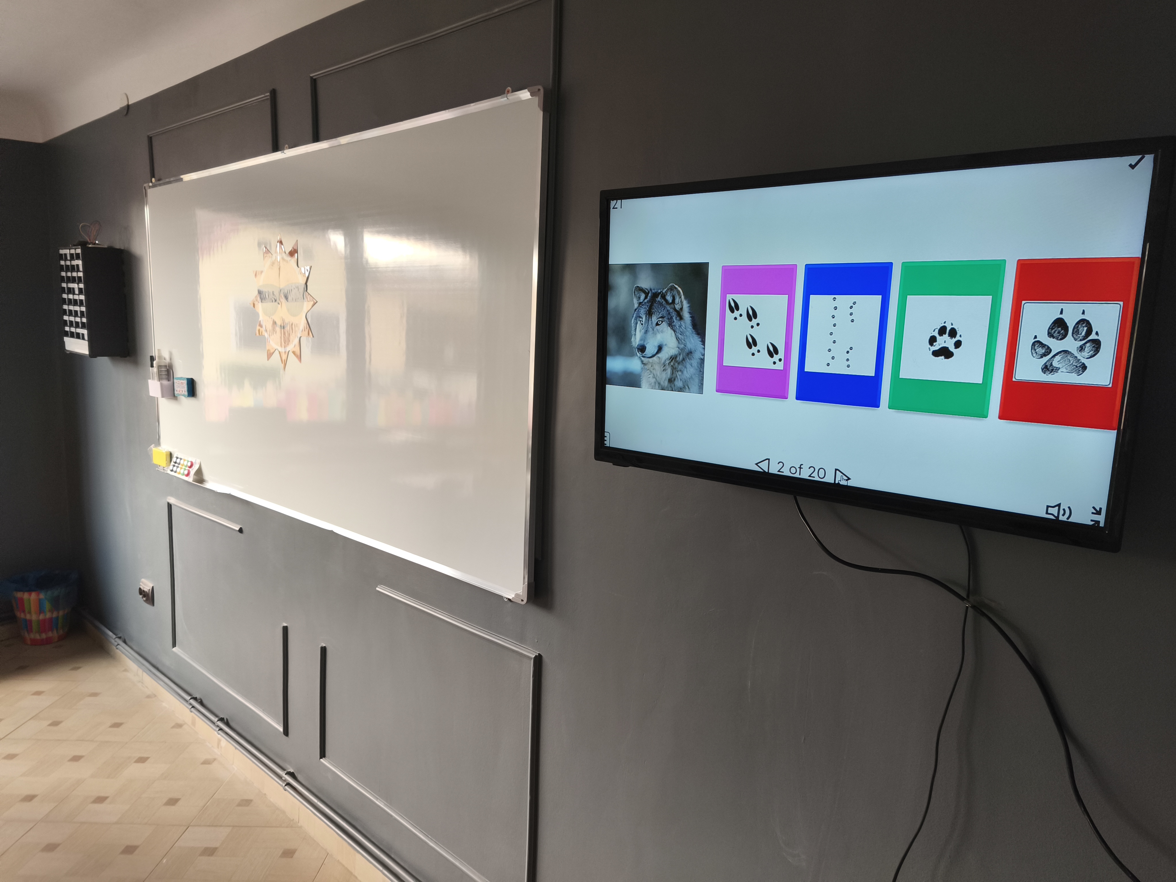 Joc interactiv — recunoaștem urmele lupului