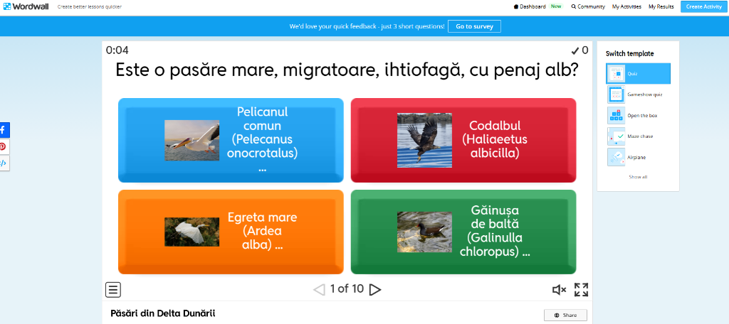 Păsări din Delta Dunării — recunoaștem pelicanul comun
