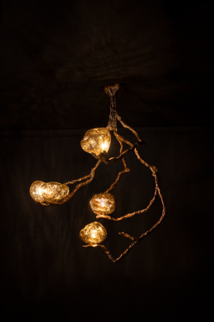 Light