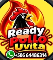 Ready Pollo