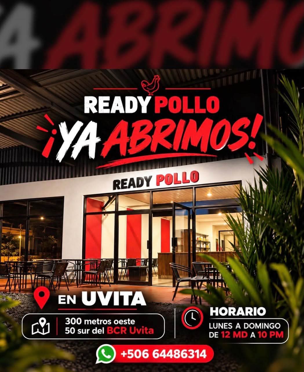 Ready Pollo