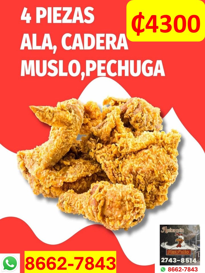 Rapipollo