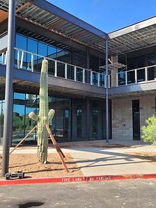 Multi-armed saguaro installed in front of a modern two-story commercial building with steel and glass facade