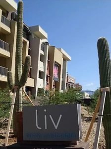 Two saguaros installed in front of the liv North Scottsdale apartment community monument sign