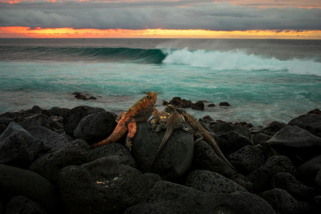 Galápagos Islands