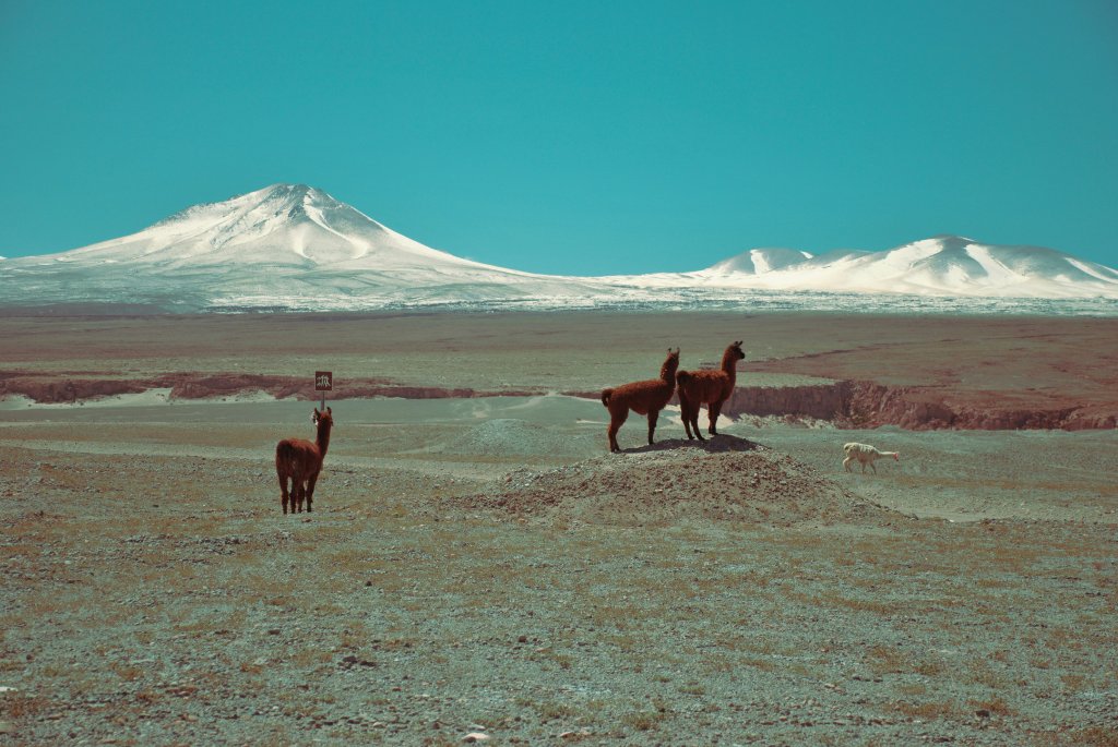 Chile