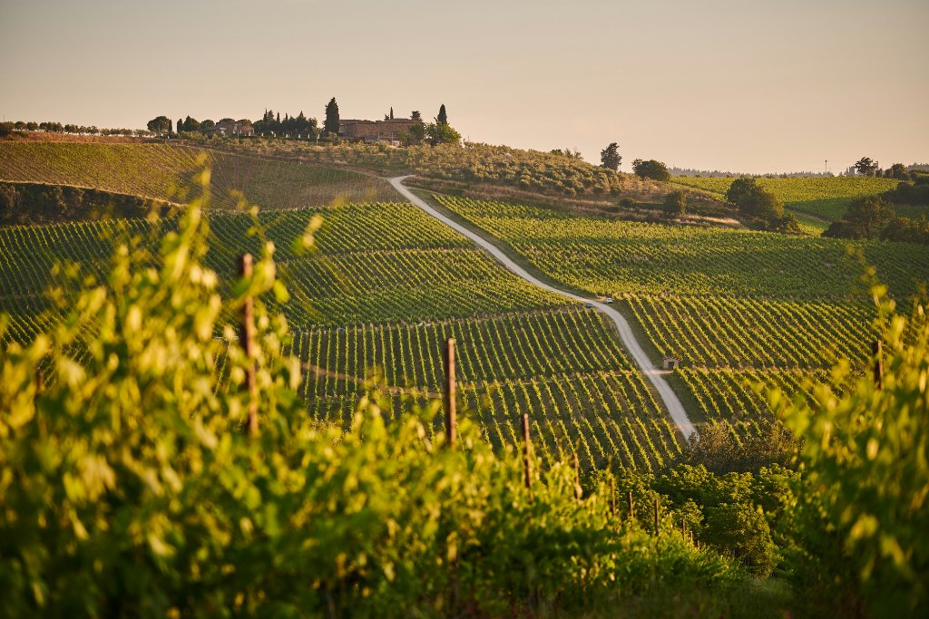 Food & Wine