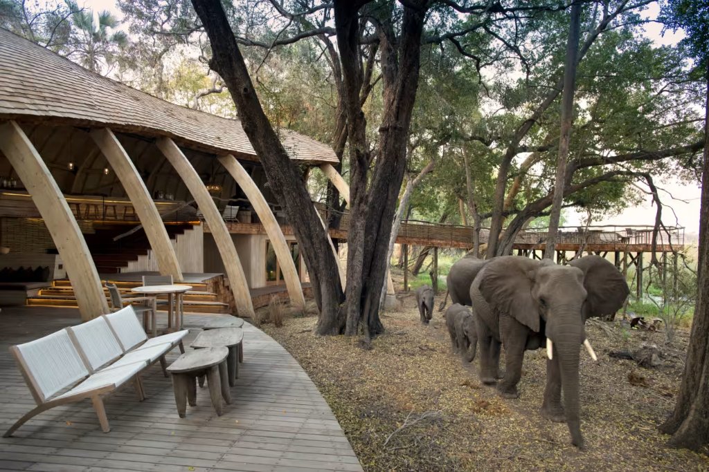 &Beyond Sandibe Okavango Safari Lodge
