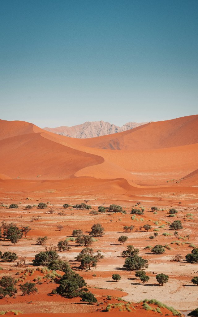 Africa