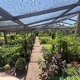 Potted shrubs and blooming plants arranged beneath a shade structure at the PlantCo nursery in Fort Worth