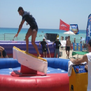 Surfboard Simulator (Bucking Bronco)