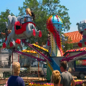 Classic Jet Elephants 8m x 8m - Supervised & Insured (up to 4hrs)
