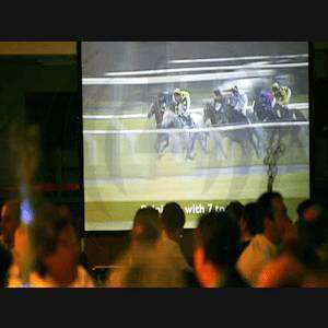 On-Screen Race Night (up to 2hrs)